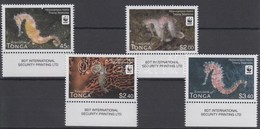 ** 2012 WWF Csikóhalak Sor, 4 érték - Other & Unclassified