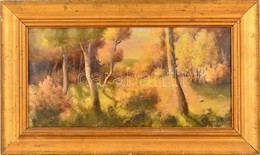 Spányi Jelzéssel: Erdő Részlet. Olaj, Karton, Keretben, 22×44 Cm - Altri & Non Classificati