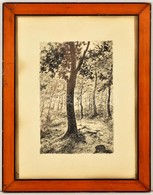 Jelzés Nélkül: Erdőrészlet. Rézkarc, Papír, üvegezett Keretben, 20,5×13,5 Cm - Altri & Non Classificati