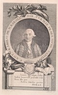 Nagykárolyi Gróf Károlyi Antal (1732-1791.) Táborszernagy, Főispán, Valóságos Komornyik.  Rézmetszetű Porctréja. 10x14 C - Estampas & Grabados