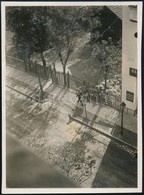1931 Kinszki Imre (1901-1945) Budapesti Fotóművész Hagyatékából, Feliratozott, Vintage Fotóművészeti Alkotása, 8x6 Cm - Andere & Zonder Classificatie
