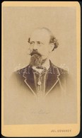 Cca 1866 Pest, Julius Udvardy Akadémiai Festő és Photograph Műtermében Készült Vizitkártya Méretű Fénykép, 10,3x6 Cm - Altri & Non Classificati