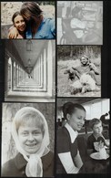 Cca 1970-1980 Vegyes Fotó Tétel, Részben Egy érsekújvári Születésű, Nürnbergben élt Magyar Hagyatékából: Családi Portrék - Altri & Non Classificati