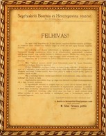 Cca 1914-1916 'Segélyakció Bosznia és Hercegovina Részére' - Felhívás M. Silva Tarouca Grófnő Elnöknő Nevével - Non Classificati