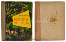 Vegyes Könyvtétel, 2 Db: Molnár Gábor: Kalandok A Brazíziliai őserdőben. Vadász, és Gyűjtőuton Észak-Brazília ősvadonjáb - Non Classés