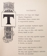 Feleki Sándor: Vándorfelhők. Sávely Dezső Rajzaival. Bp.,1900, Lampel R. (Wodianer F. és Fiai.) Szövegközti Szecessziós  - Ohne Zuordnung