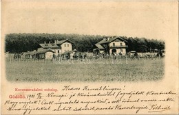 T2/T3 1901 Gödöllő, Koronauradalmi Méhtelep, Méhészet (EK) - Ohne Zuordnung