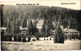 T2 1907 Biharfüred, Stana De Vale; Nyaralók / Villas - Unclassified