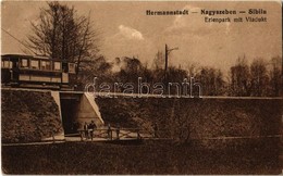 ** T2 Nagyszeben, Hermannstadt, Sibiu; Villamos Viadukt Az Erlen Parkban. F. Binder  Kiadása / Viadkut Der Elektrischen  - Unclassified