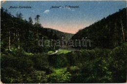 T2/T3 1918 Modor-Harmónia, Modor, Modra; Dolina Erdő / Forest (EK) - Non Classificati