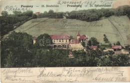 * T3 1908 Pozsony, Pressburg, Bratislava; III. Bimbóház étterem, Nyaraló, Kert. Kiadja Neffe J. 214. / 3tes Batzenhäusel - Non Classificati