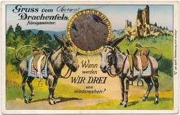 T2/T3 1938 Drachenfels, Königswinter; Wann Werden Wir Drei Uns Wiedersehen? / Humorous Postcard With Donkeys And Mirror  - Non Classificati