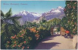 T2/T3 Merano, Meran; Passeggiata Tappeiner / Road (EK) - Non Classificati