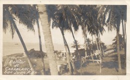 T2/T3 San Juan, Palmar De Casablanca / Palm Trees (EK) - Unclassified