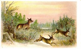 ** T2 Fox With Rabbits Litho - Zonder Classificatie