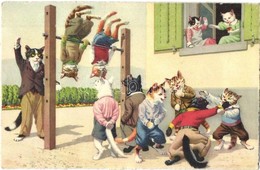* T2/T3 Cats Exercising At The Cat Schoolyard, Physical Education. Max Künzli No. 4571. - Modern Postcard (ragasztónyom  - Non Classés