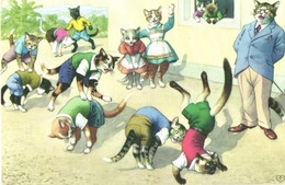 ** T2 Cats Exercising At The Cat Schoolyard, Physical Education. Alfred Mainzer ALMA 4878. - Modern Postcard - Zonder Classificatie