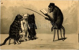 T2 1902 Monkey Reading To The Cats. Emb. Litho - Ohne Zuordnung