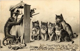 T2 1903 Cats Watching The Monkey's Puppet Show. Emb. Litho - Zonder Classificatie