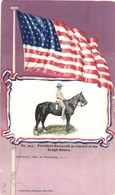 ** T2/T3 President Roosevelt As Colonel Of The Rough Riders. Franz Huld No. 393. American Flag Frame Litho (small Tears) - Non Classés