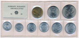 1981. 2f-10Ft (9xklf) érmés Forgalmi Sor Fóliatokban T:1 
Adamo FO14 - Ohne Zuordnung