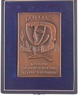 Kiss Kovács Gyula (1922-1984) ~1970. 'MUOSZ - A Magyar Sportújságírók Díja - Az év Legjobbjainak' Egyoldalas Br Plakett, - Unclassified