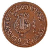 1998. 'Erzsébetvárosi Éneklő Ifjúság' Egyoldalas, öntött Br Emlékérem (57mm) T:1- - Non Classificati