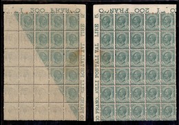 Regno - Posta Ordinaria  - 1906 - 5 Cent Leoni (81/81s) - Blocco Angolare Di 30 - Gomma Integra - 18 Pezzi Con Decalco D - Sonstige & Ohne Zuordnung