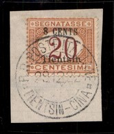 Uffici Postali All'Estero - Tientsin - 1918 - Segnatasse - 8 Cent Su 20 (6) Usato Su Frammento (180+) - Other & Unclassified