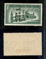 C.L.N. - Arona - 1945 - 1,25 Lire Espresso (16) - Gomma Originale (250) - Andere & Zonder Classificatie