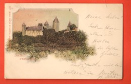 TSM-34 Litho Chateau D'Estavayer. Précurseur, Circulé 1900 - Estavayer