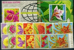 Equatorial Guinea, 1976, Flowers Of America, 14 Stamps +2 S\s Blocks - Zonder Classificatie