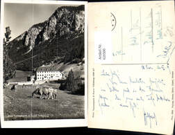 620500,Foto Ak Zernez Hotel Nationalpark Jl Fuorn Ofenberg - Zernez