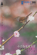 Carte Prépayée Japon - Série OISEAUX 5/16 - OISEAU - FAUVETTE -  BIRD Japan Prepaid Metro Card - 4364 - Zangvogels