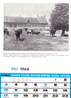 Blz Uit Kalender 1964 - Stamboekveebedrijf Frans De Block Te Proven - Voeders Versele Astene Deinze - Grand Format : 1961-70