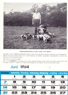 Blz Uit Kalender 1964 - Varkensuitbating Geerts - Liegeois Te Battice  - Voeders Versele Astene Deinze - Grand Format : 1961-70