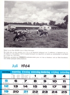 Blz Uit Kalender 1964 - Bedrijf Louis Boden Te Essen Antwerpen - Voeders Versele Astene Deinze - Grand Format : 1961-70