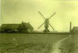 RIJKEVORSEL (Antwerpen) - Molen/moulin - Zeldzame Oude Opname Van De Verdwenen Staakmolen En Stoommaalderij Ca. 1930 - Rijkevorsel