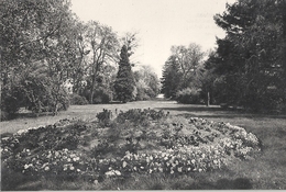 CPSM Montesson Ecole Théophile Roussel Jardin Anglais - Montesson