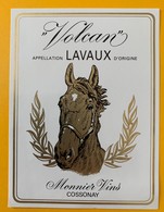 10822 - Volcan Lavaux  Suisse - Chevaux