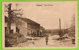 Paliseul - Route D'Opont Avec Enfants - Circulé 1925 - Edition Bodson Labbé - SUPER - Paliseul