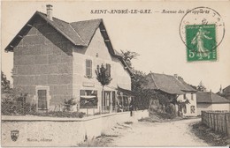 SAINT ANDRE LE GAZ ( Isère ) - Avenue Des Grappières. - Saint-André-le-Gaz