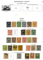 FRANCE (TUNISIA) 1888-1925 Collection With 1888 To 75c, 1898 To 1f (plus 5f With Lines Across), Later To 1930's Incl. Wa - Otros & Sin Clasificación