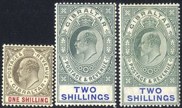 1904-08 1s, 2s (two Shades), Fresh M, SG.61/62. (3) Cat. £275. - Other & Unclassified