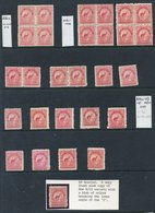 1899 6d Kiwi, A Mint Selection With Three Blocks Of Four, Two Pairs And Singles, One In The Brick-red Shade, Also One Wi - Other & Unclassified