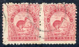 1902-07 6d Kiwi In A Fine Used Horizontal Pair With Upright Watermark, A Very Scarce Multiple. Centred To Upper Right, S - Otros & Sin Clasificación