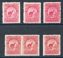 1907-08 6d Kiwi - Fresh Mint Singles In Carmine-pink, Pale Carmine-pink, Deep Aniline-pink, Red (pair) And Deep Red, SG. - Autres & Non Classés