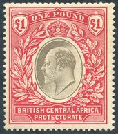 B.C.A.1903-04 CCC £1, Grey & Carmine, Fine M, SG.66. Cat. £325. (1) - Other & Unclassified