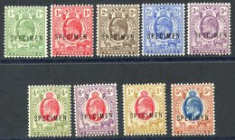 1903-04 CCA Set Ovpt SPECIMEN, Fresh M, SG.139s/147s. (9) Cat. £275 - Sonstige & Ohne Zuordnung