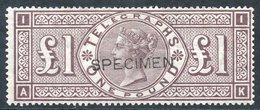 1876 £1 Brown Lilac Optd SPECIMEN Type 8, Fresh Looking With Full O.g.( Horizontal Crease) SG.T17. Cat. £900 - Andere & Zonder Classificatie